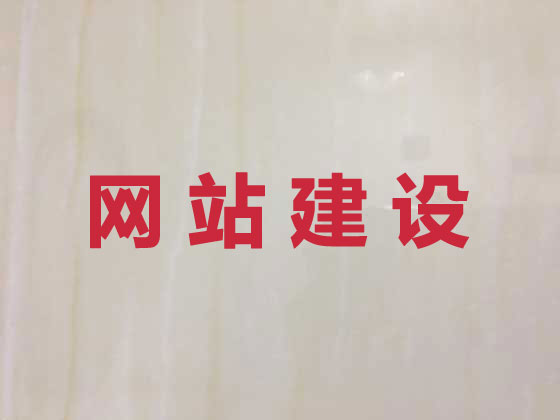 金湖县专业网站设计建设